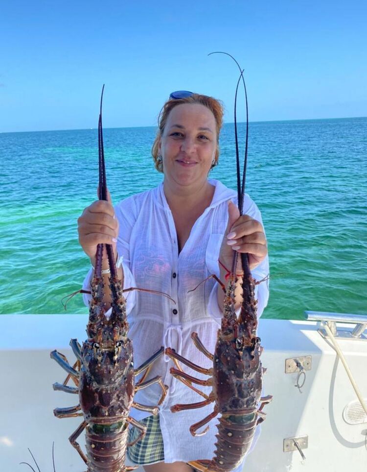 ���� 50682473 ������� �����, 53 ����, ���� ���������� � ��������