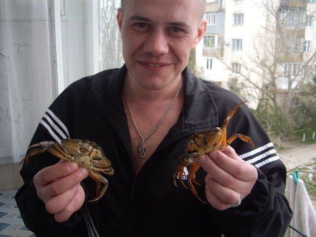 ���� 24385103 ������� ����, 44 ����, ���� ���������� � ��������