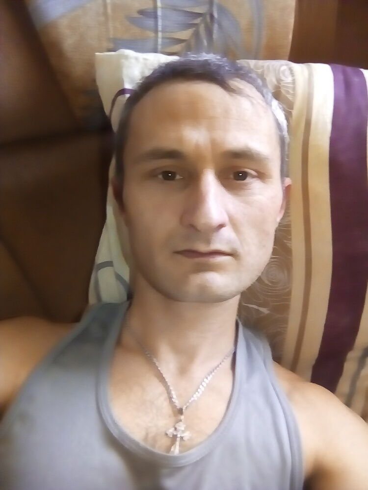  13788113  , 39 ,    