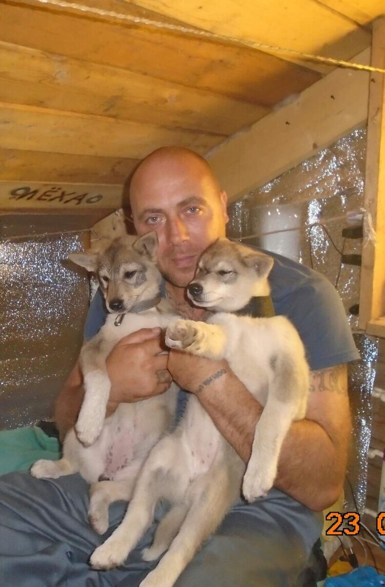 ���� 21728233 ������� ������, 45 ���, ���� ���������� � ������