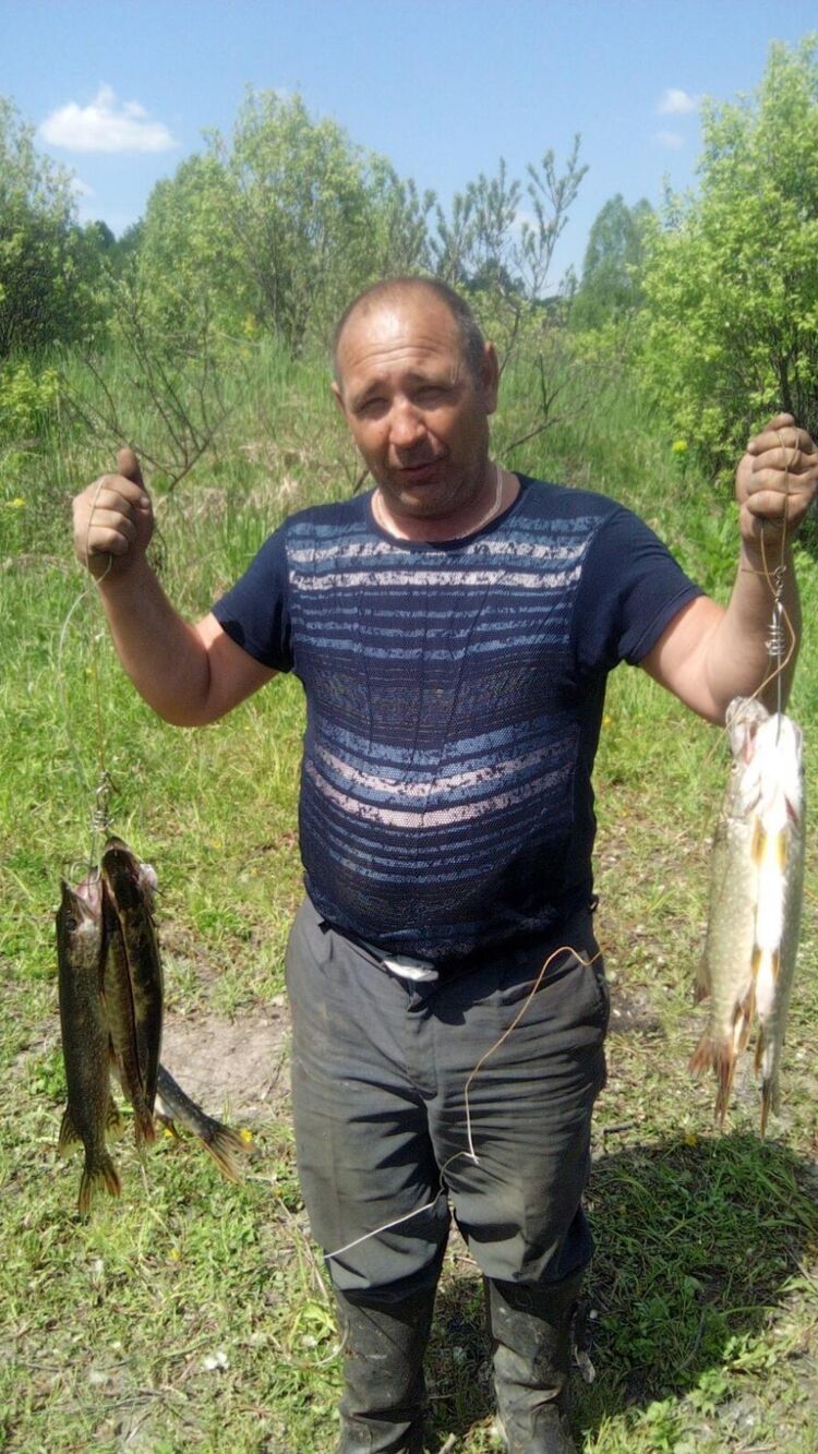  30809113  , 50 ,    