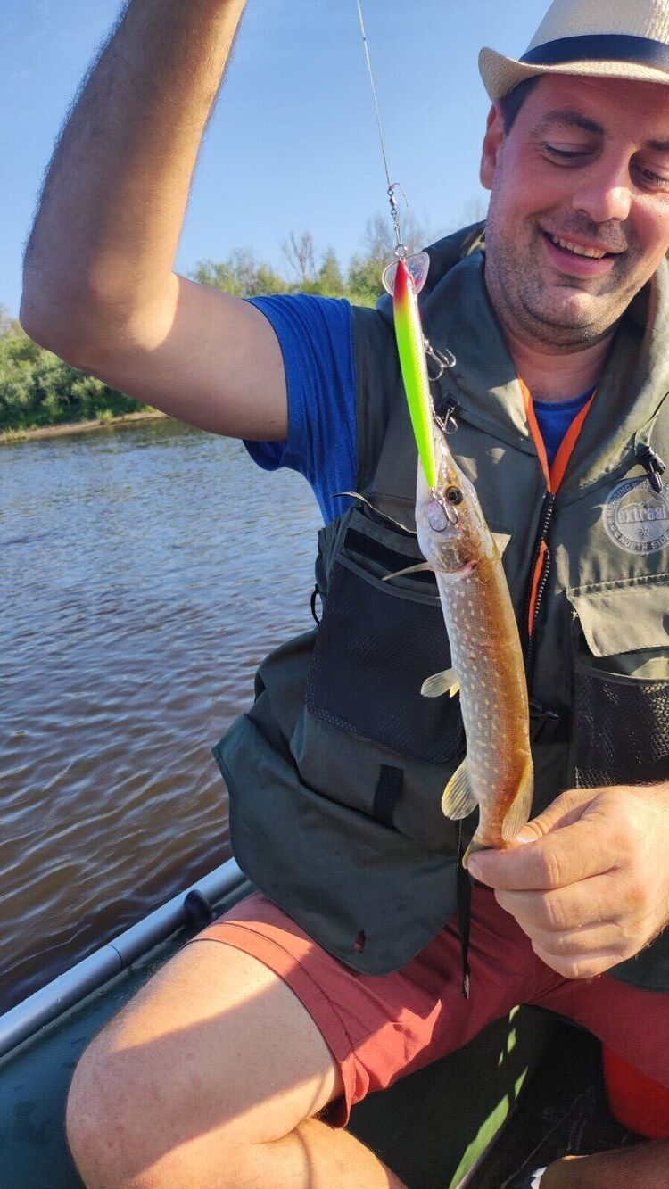 ���� 42094613 ������� �����, 38 ���, ���� ���������� � ������