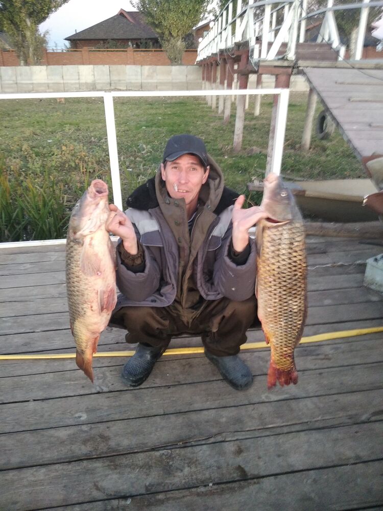 ���������� ���, ���� ������� ������, 52 ����, ������������ ��� ������, ����� � ���������