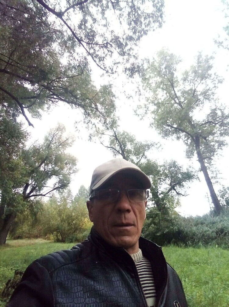  29136013  , 50 ,    