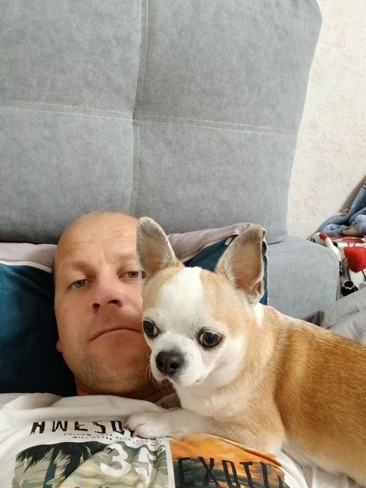 ���� 54974203 ������� ������, 38 ���, ���� ���������� � ��������