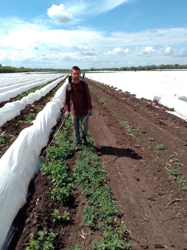 ���������� ��������, ���� ������� ������, 32 ����, ������������ ��� ������, ����� � ���������, c�������� ���������