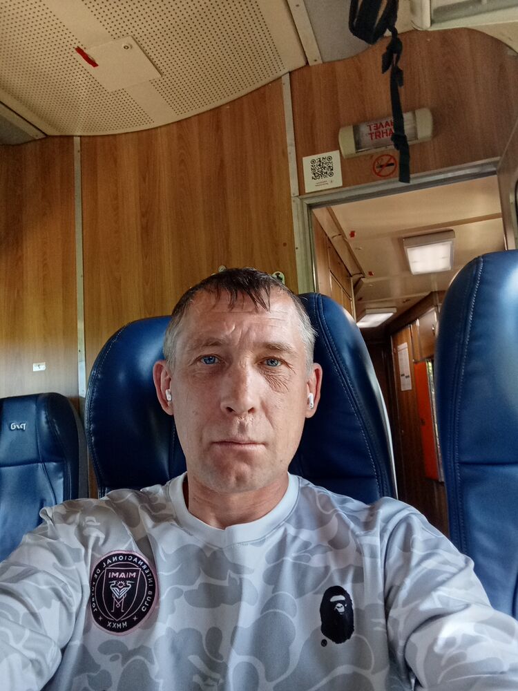  53427203  , 43 ,    -