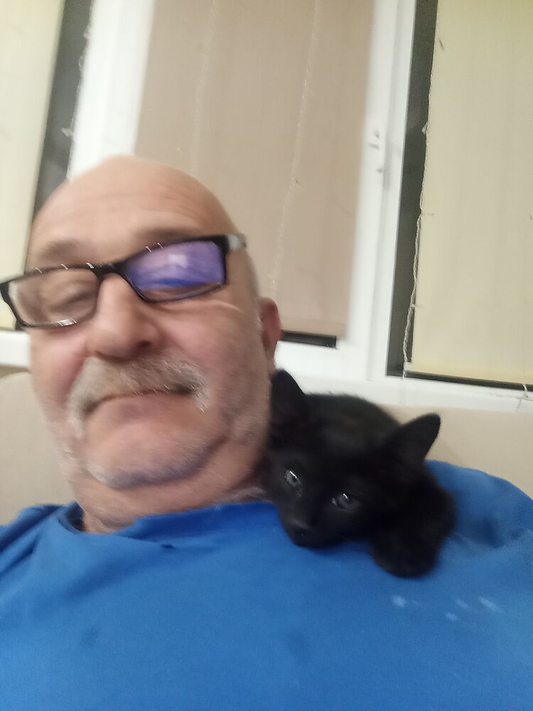  --,   , 60 ,   ,   