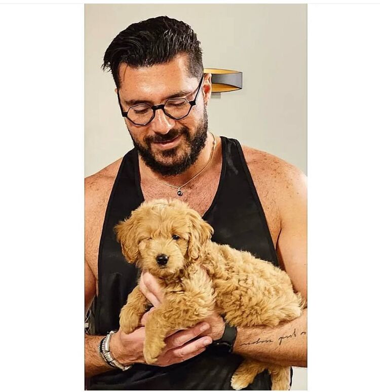 ���� 51321503 ������� �����, 36 ���, ���� ���������� � ������