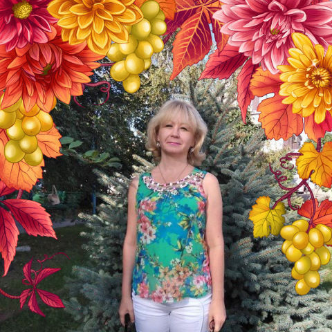  ,   , 55 ,   ,   , c 