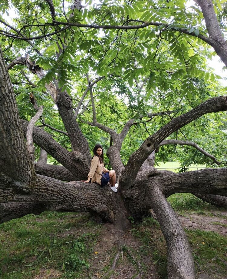 ���������� ������, ���� ������� ���, 32 ����, ������������ ��� ������, ����� � ���������