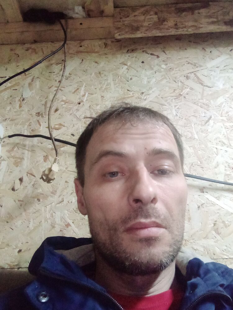  42869683  , 43 ,    