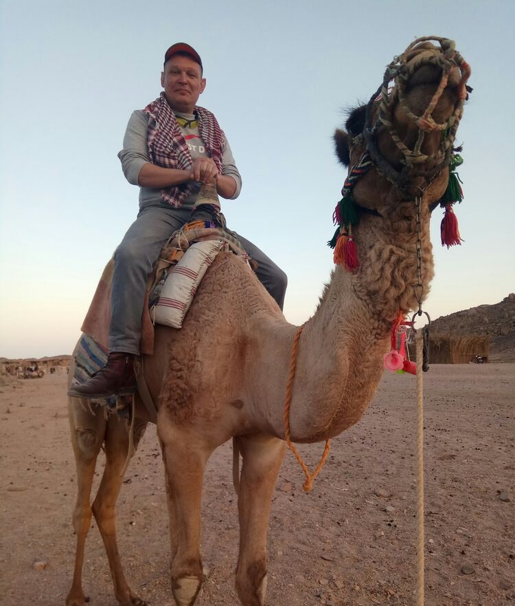 ���������� �����, ���� ������� Sergio, 43 ����, ������������ ��� ������, ����� � ���������, c�������� ���������