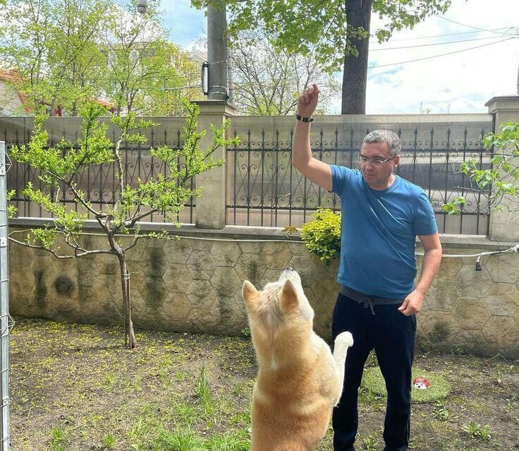 ���������� ����������, ���� ������� LORENZO, 51 ���, ������������ ��� ����� � ���������, c�������� ���������, ���������