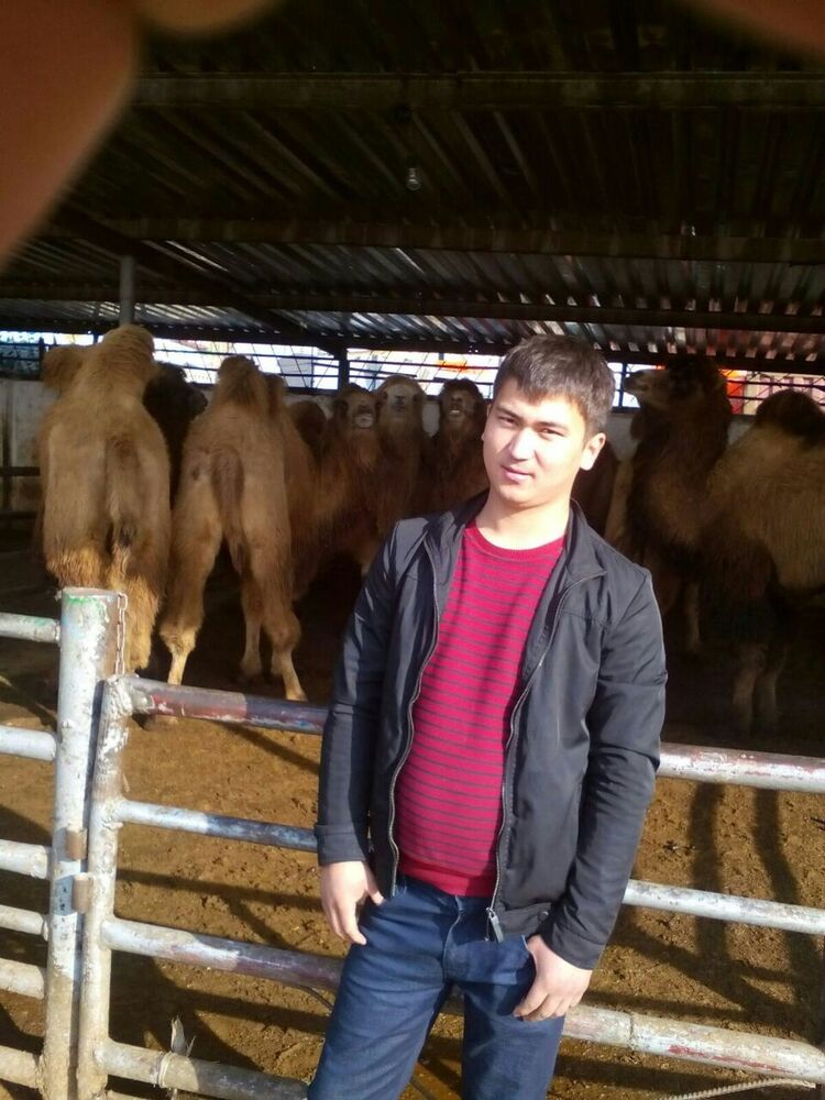  ,   Erjan, 33 ,   ,   , c 