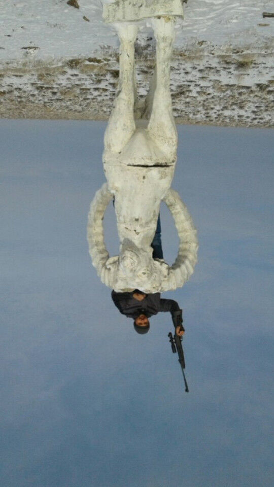 ���������� ������, ���� ������� �����, 46 ���, ������������ ��� ����� � ���������, c�������� ���������