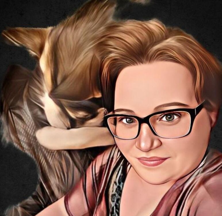 ���������� ������, ���� ������� �������, 48 ���, ������������ ��� ���������