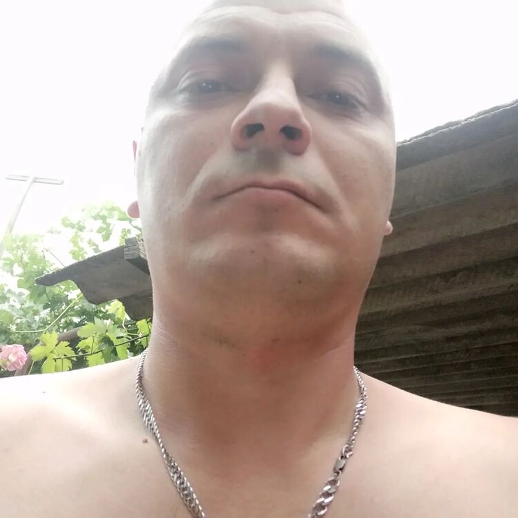 ���� 25084483 ������� �������, 36 ���, ���� ���������� � ������