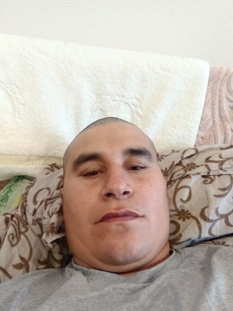 ���� 27006133 ������� �����, 43 ����, ���� ���������� � ��������