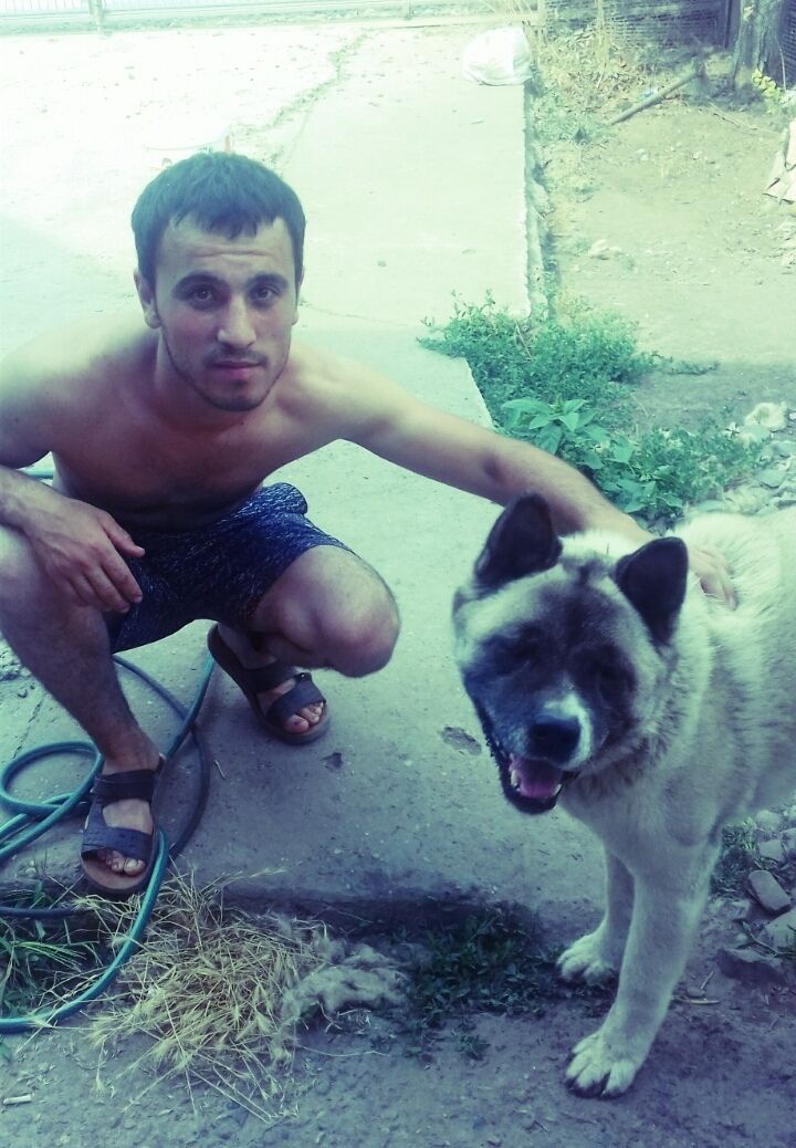 ���� 22937613 ������� Deniz, 33 ����, ���� ���������� � ������