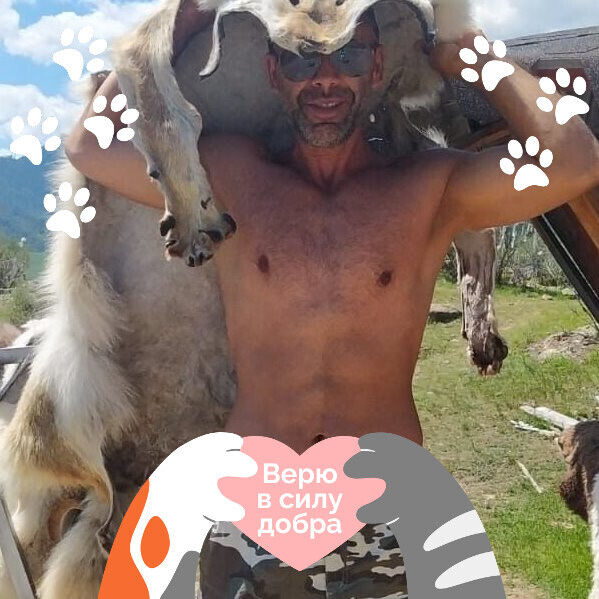 ���������� ��������, ���� ������� �����, 50 ���, ������������ ��� ������, ����� � ���������