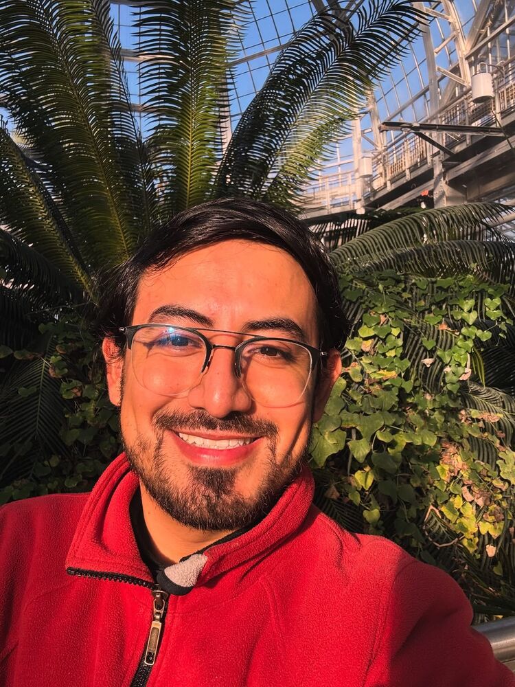 ���� 55626433 ������� �������, 27 ���, ���� ���������� � ������������