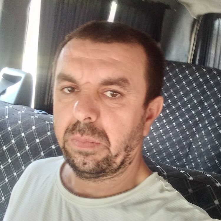  36445663  , 40 ,    