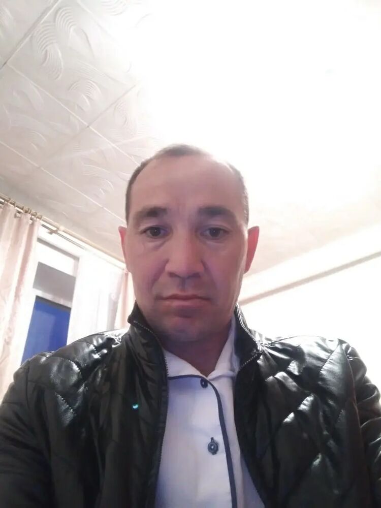  35528083   , 44 ,    