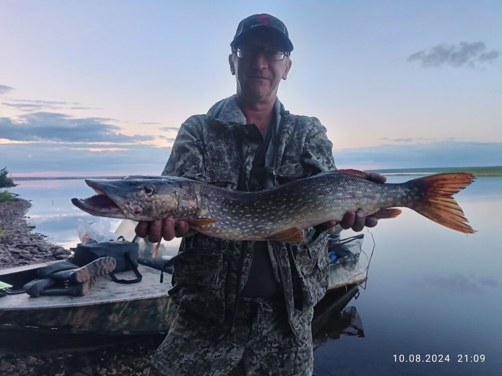 ���� 52206183 ������� �������, 47 ���, ���� ���������� � ����������