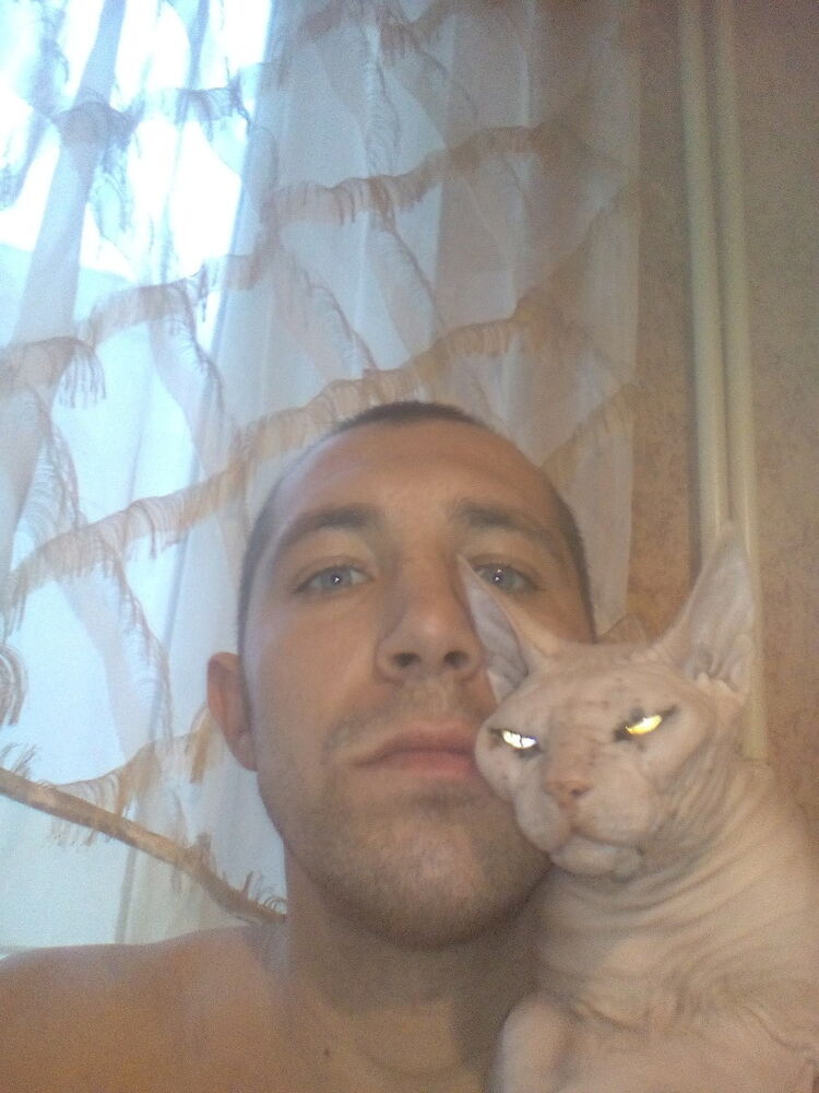  ,   , 38 ,   