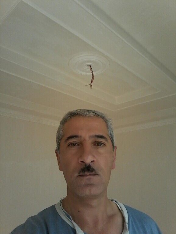 ���������� �������, ���� ������� �������, 48 ���, ������������ ��� ����� � ���������, c�������� ���������