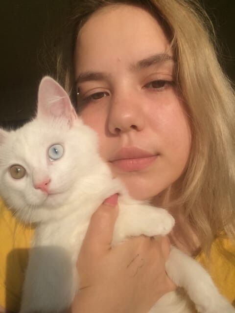  ,   , 22 ,     , c 