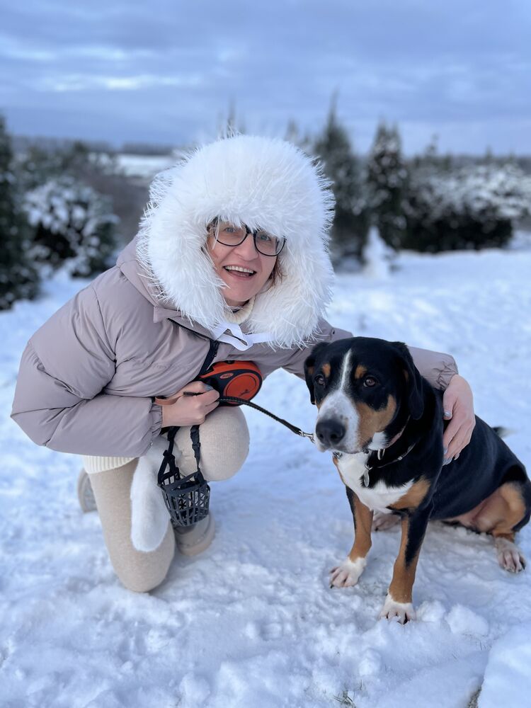 ���������� ������, ���� ������� ����, 55 ���, ������������ ��� ������, ����� � ���������