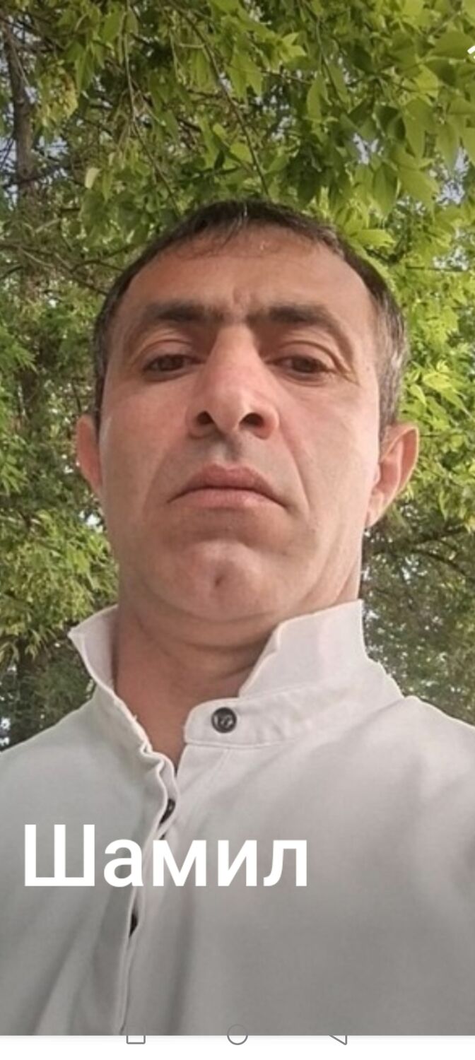  53577173  , 43 ,    