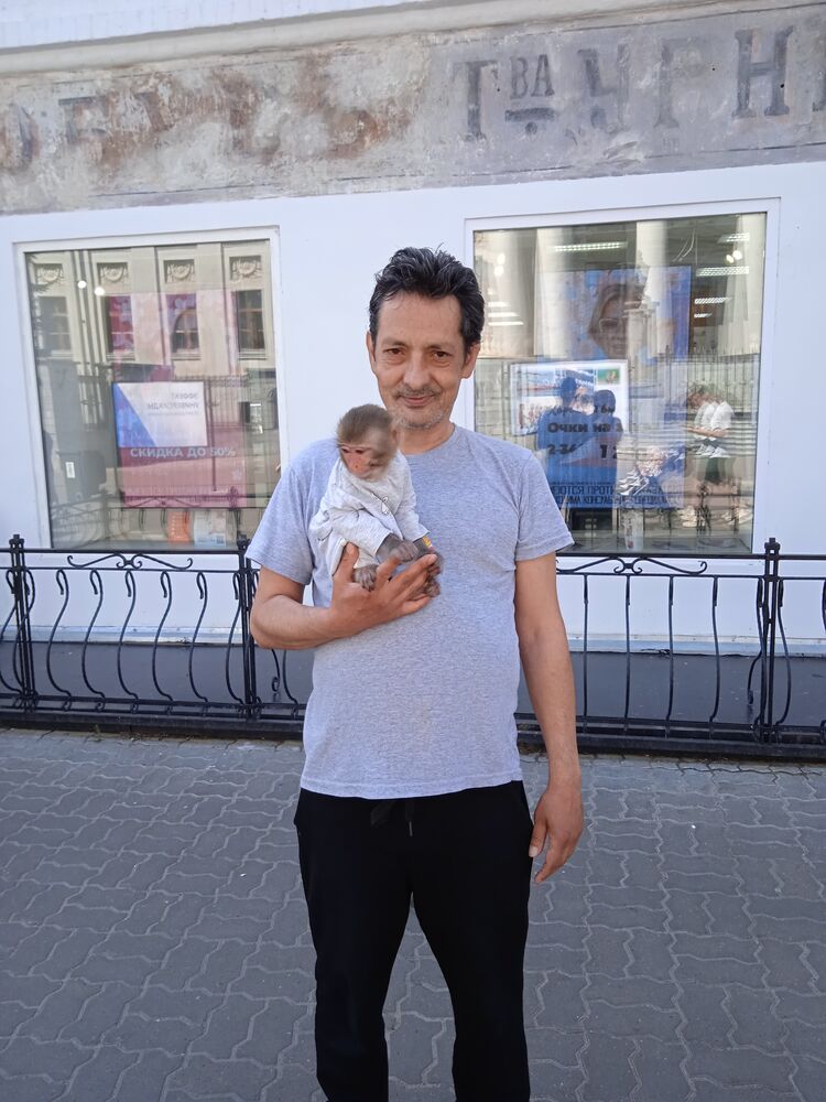 ���������� �������, ���� ������� ������, 54 ����, ������������ ��� ������, ����� � ���������, ���������