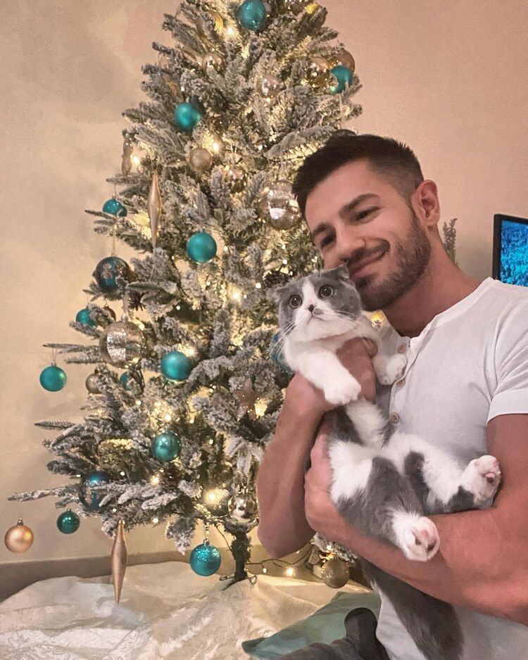 ���������� ���������, ���� ������� �������, 36 ���, ������������ ��� ������, ����� � ���������