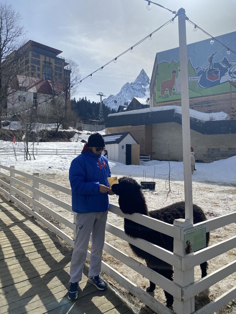 ���� 43036363 ������� �������, 26 ���, ���� ���������� � ������