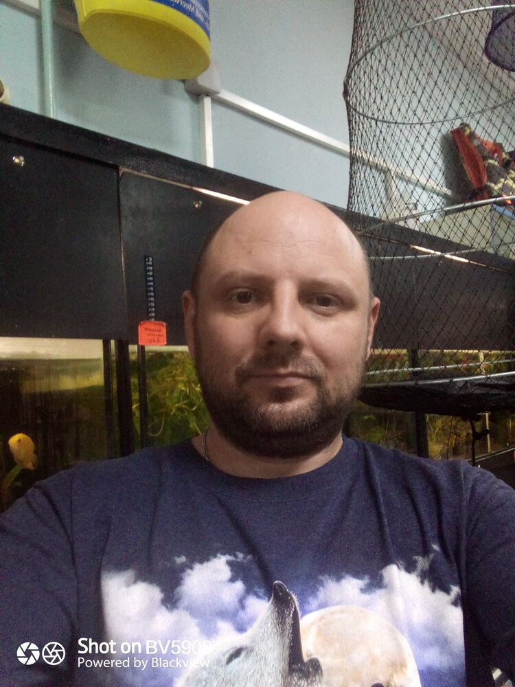 ���� 24516713 ������� ������, 42 ����, ���� ���������� � ������