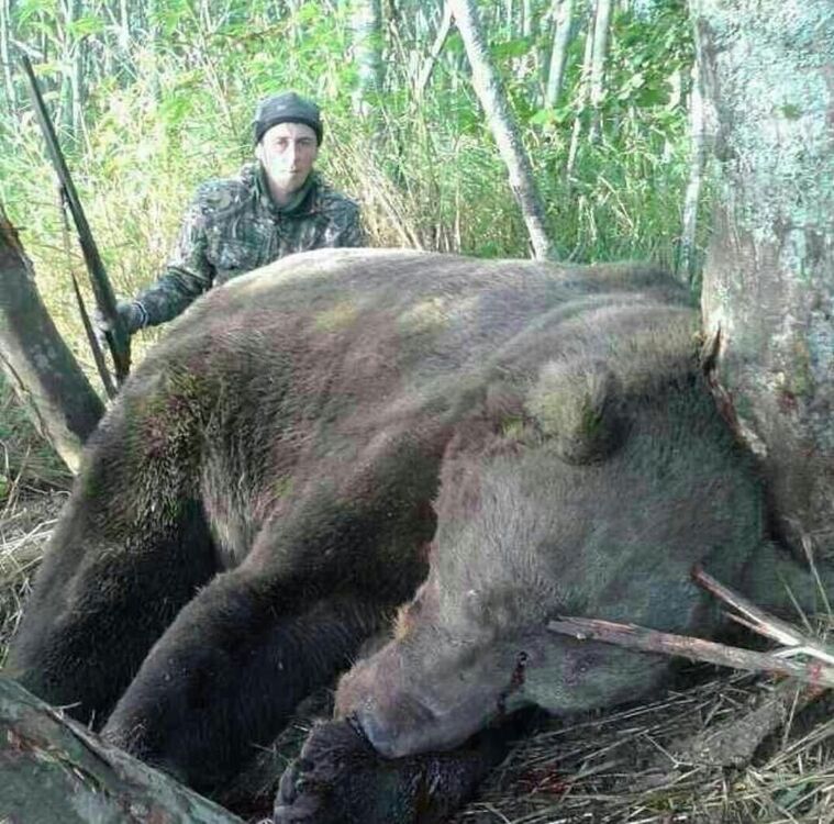 ���� 9806533 ������� ��������, 51 ���, ���� ���������� � ������