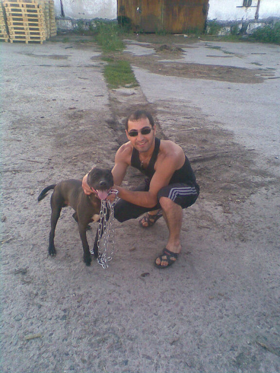 ���������� ���������, ���� ������� Alik, 39 ���, ������������ ��� ����� � ���������