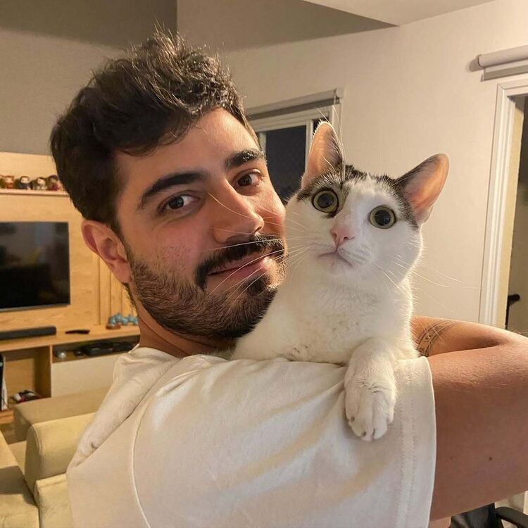 ���� 54427213 ������� ������, 38 ���, ���� ���������� � �������