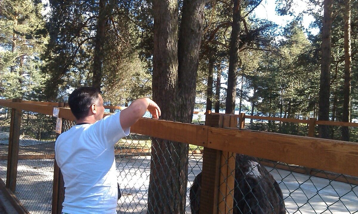 ���� 5336713 ������� �������, 53 ����, ���� ���������� � �������������