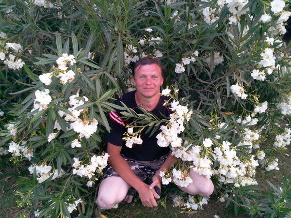 ���������� �����, ���� ������� �������, 43 ����, ������������ ��� ������, ����� � ���������, c�������� ���������