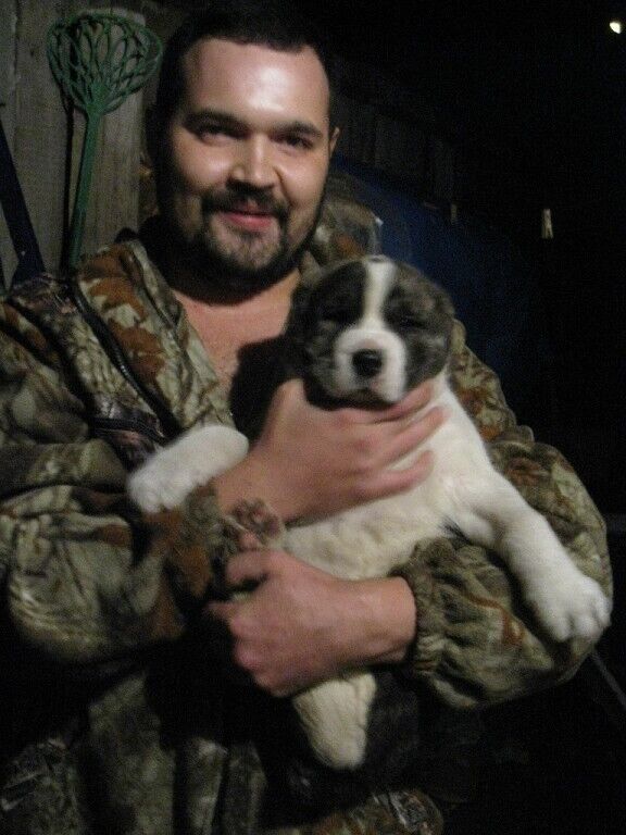 ���� 25489343 ������� REEN, 41 ���, ���� ���������� � ������������