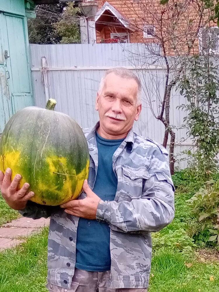 ���������� ������, ���� ������� ����, 57 ���, ������������ ��� c�������� ���������