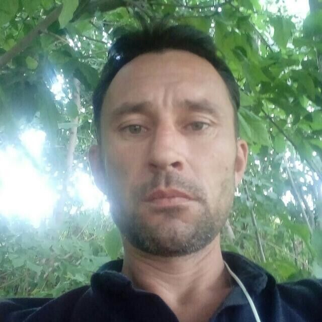  46587953  , 45 ,    