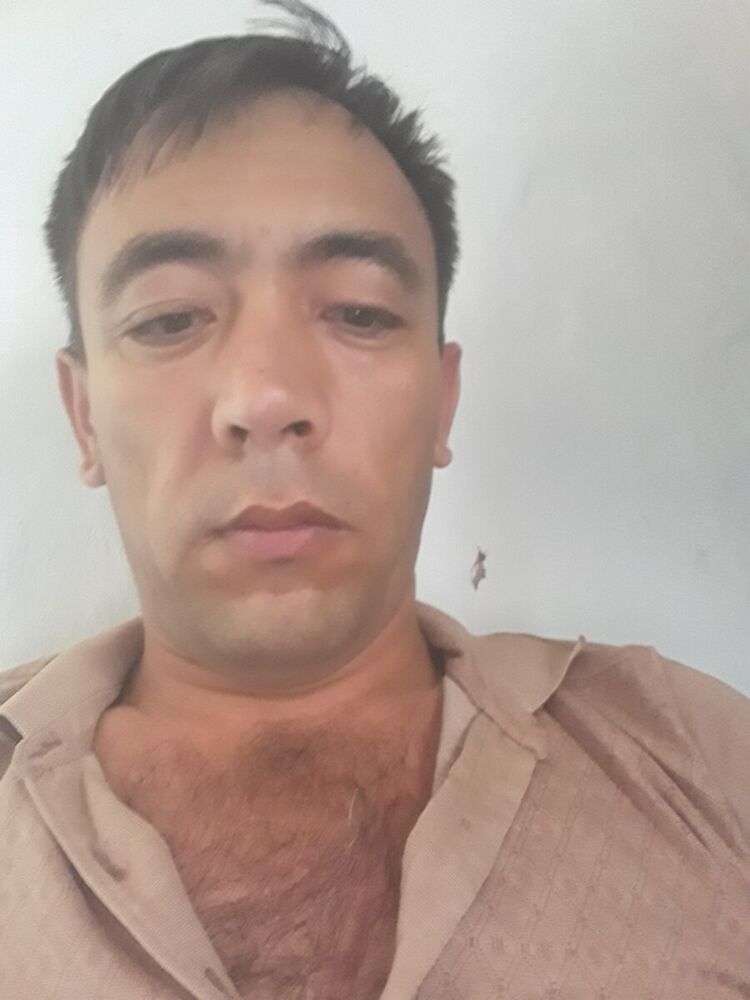  20499053  , 45 ,    