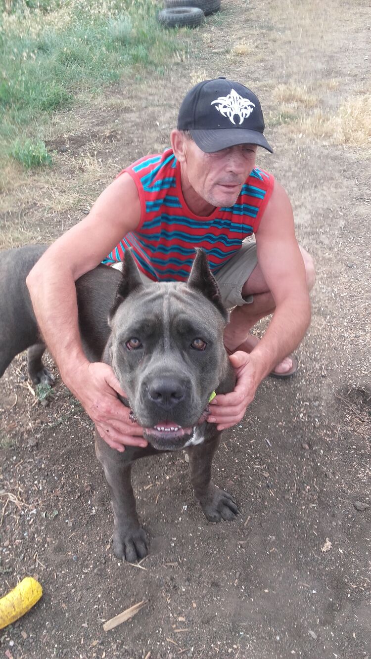 ���� 25001023 ������� ������, 59 ���, ���� ���������� � ������