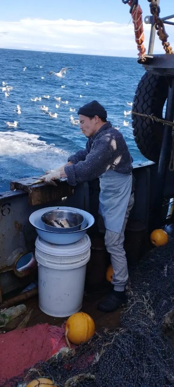 ���������� �����������, ���� ������� ����, 28 ���, ������������ ��� ������, ����� � ���������