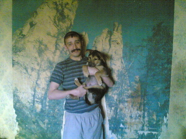 ���� 10937353 ������� ����, 43 ����, ���� ���������� � ���������